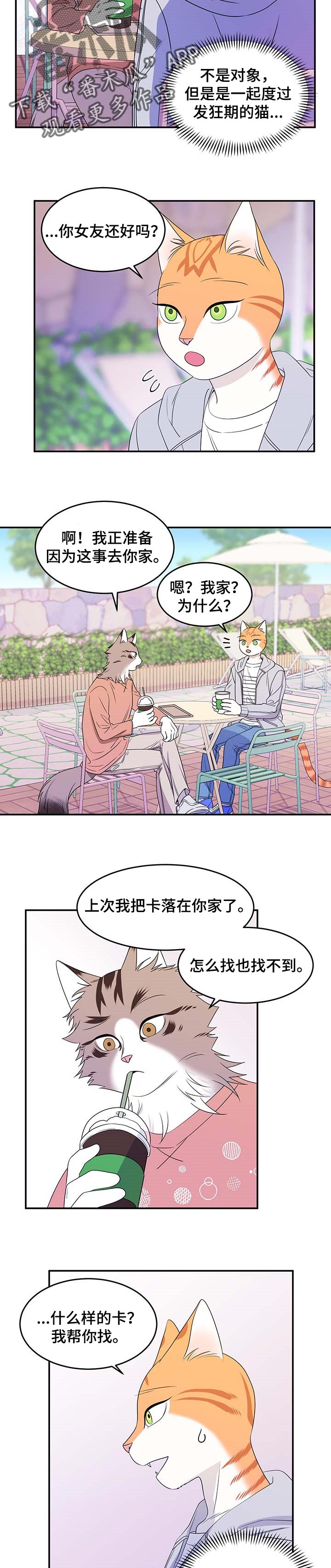 第18章：芳香剂2