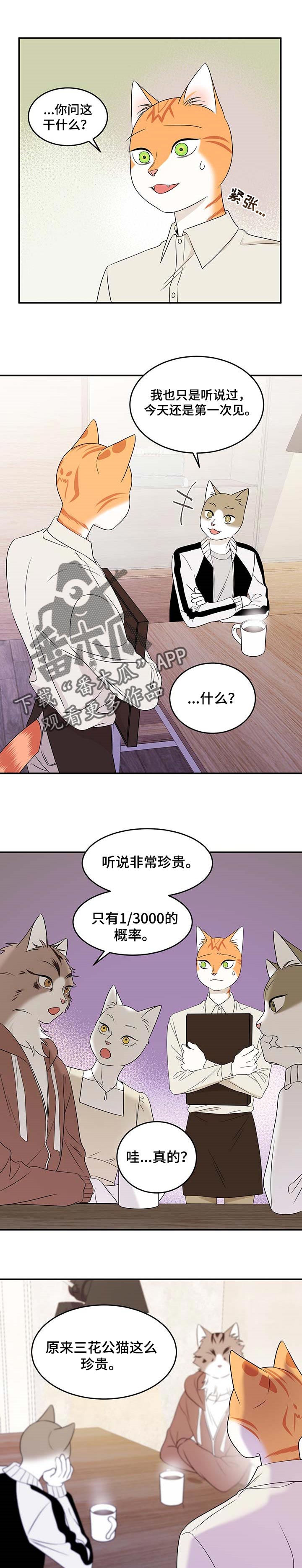 第25章：珍贵0