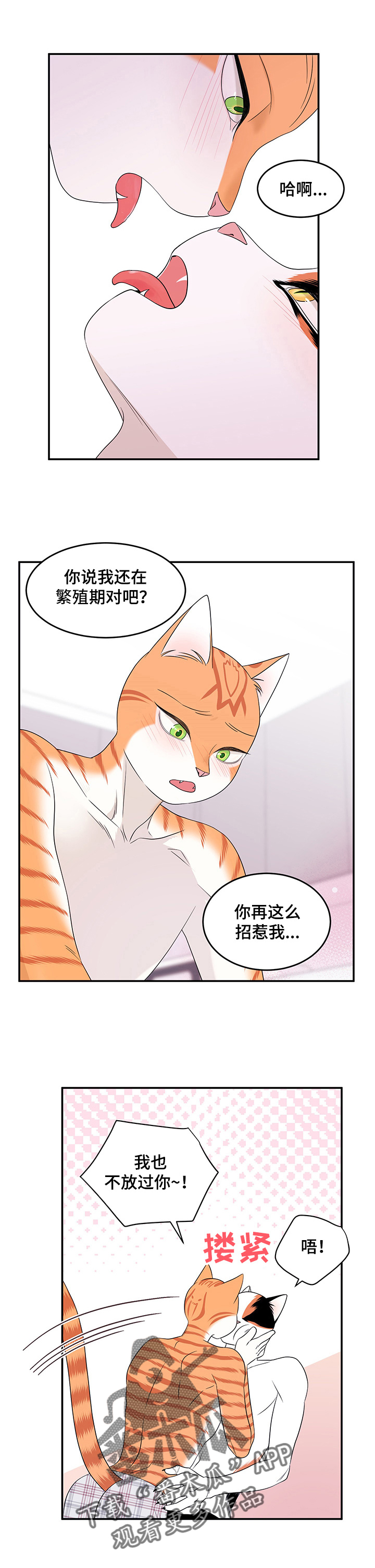 第15章：看电影2