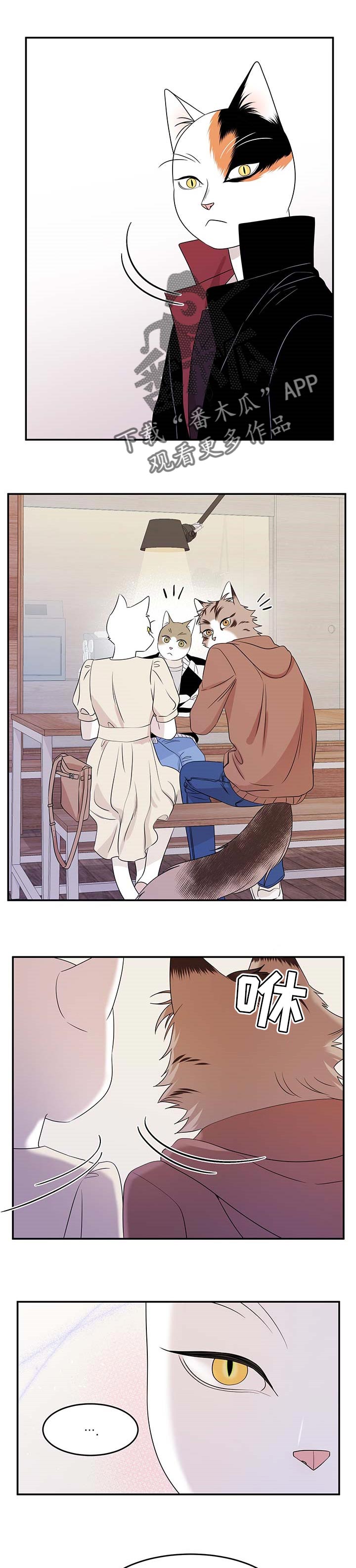 第24章：可惜0