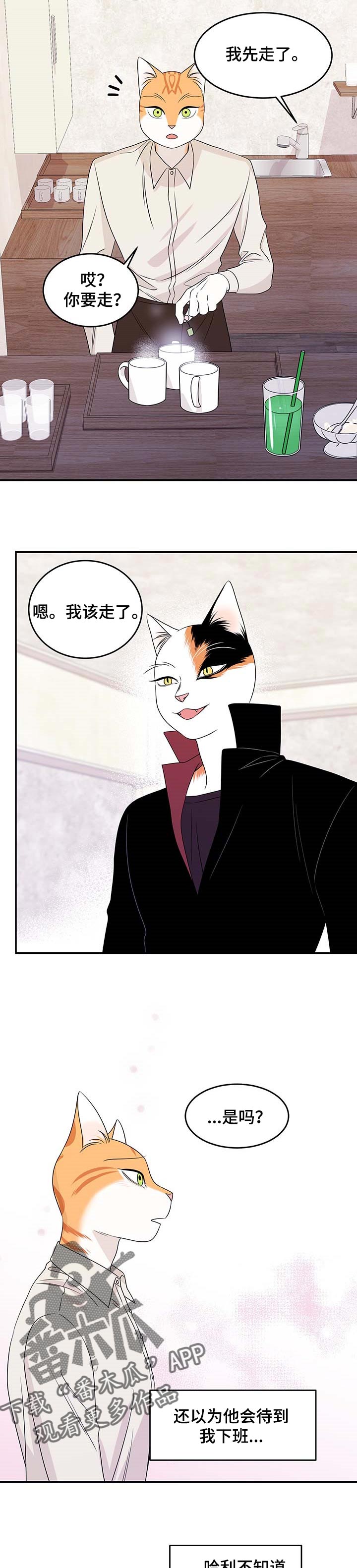 第24章：可惜4
