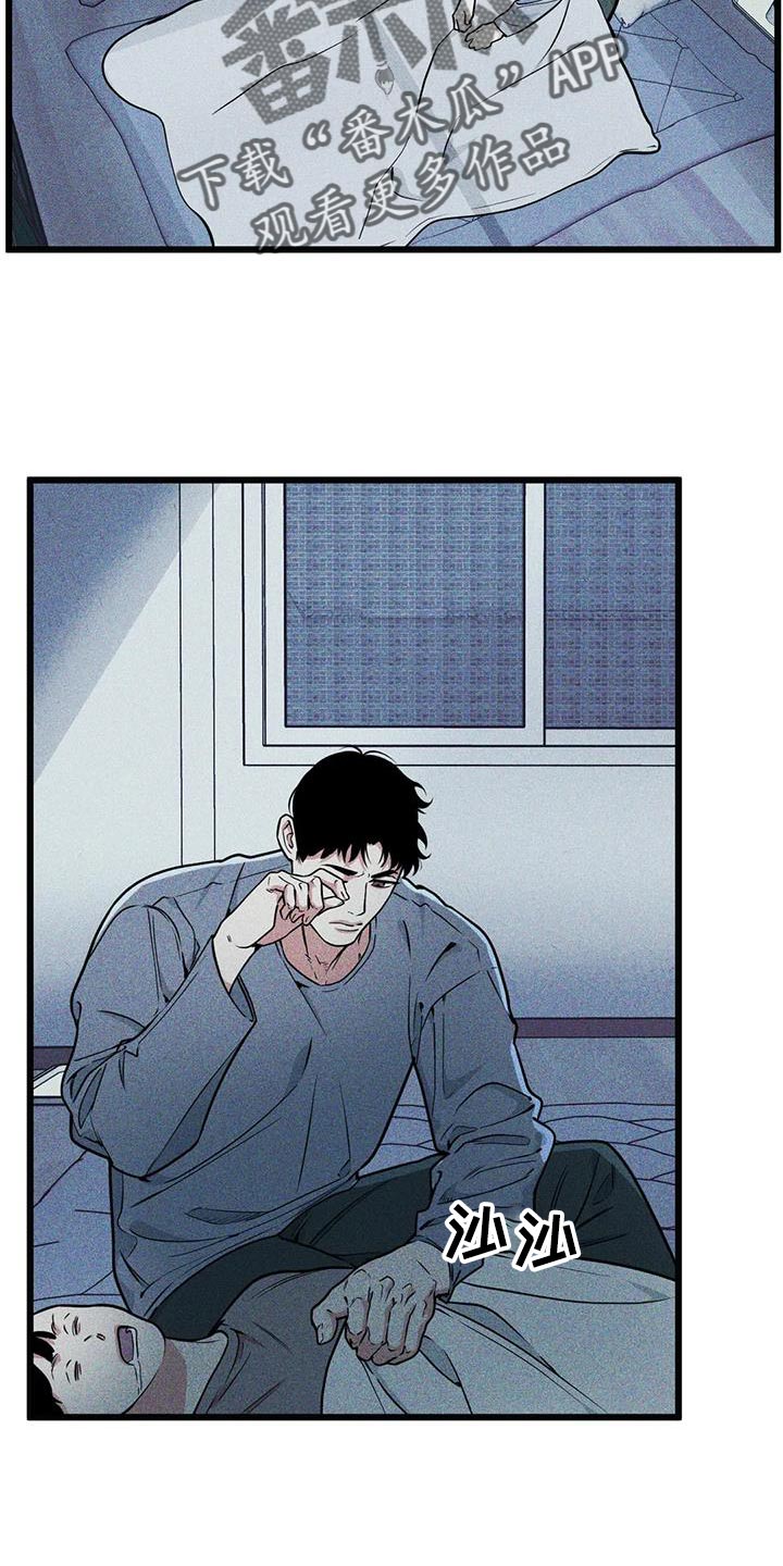第145章：【番外】视线1