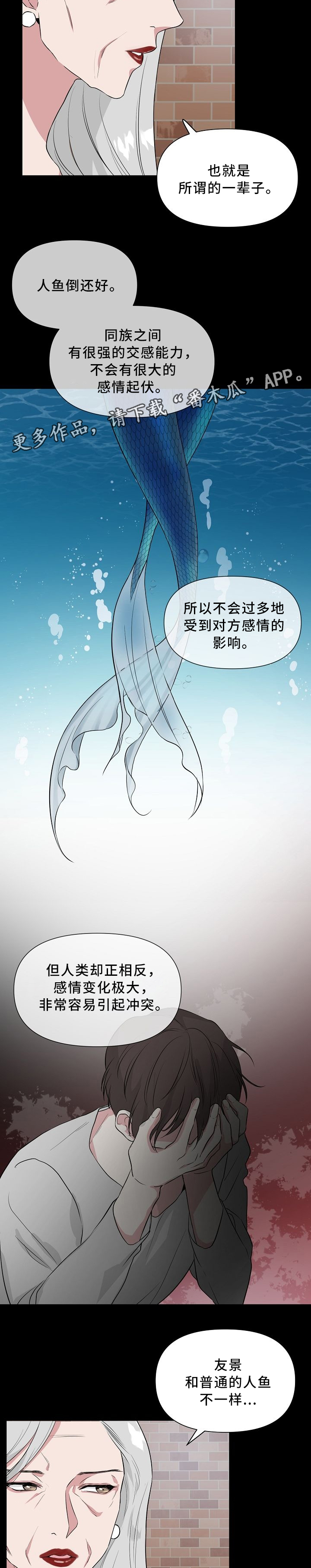 第37章：标记4