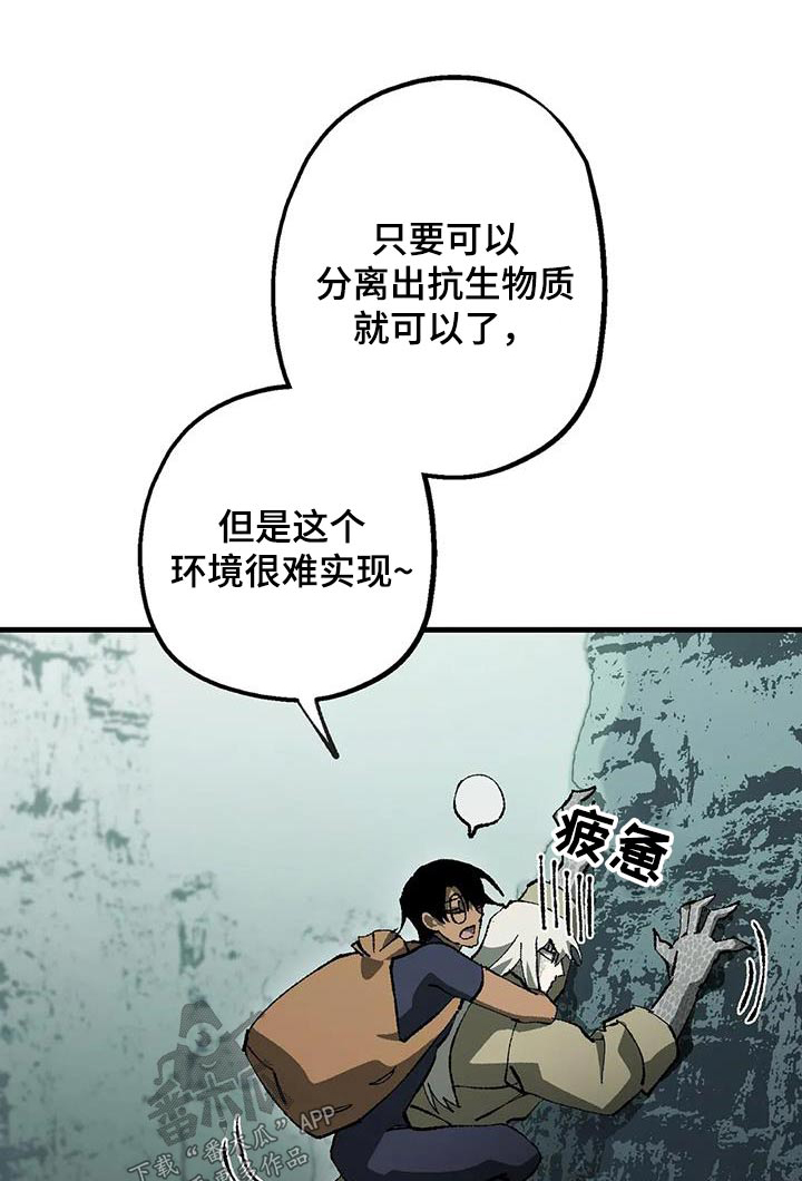饥饿的盛世这本书怎么样漫画,第40章：好多了1图