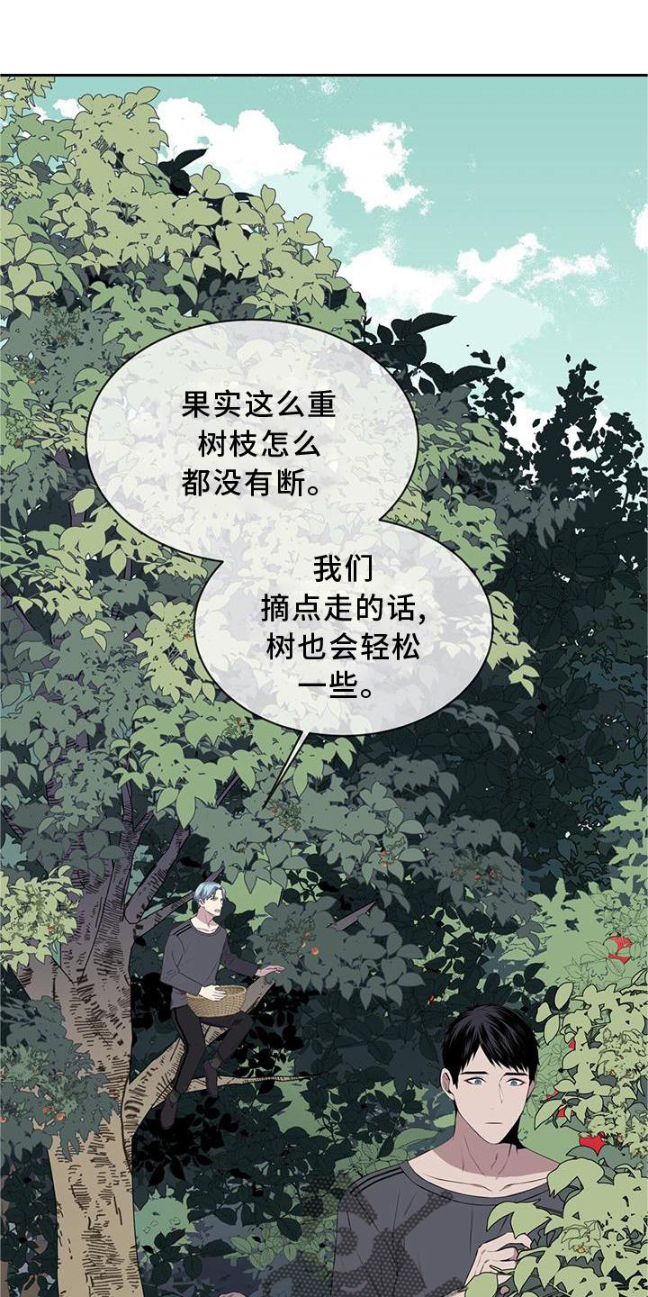 第54章：鸟蛋0