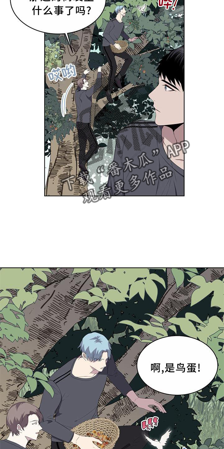 第54章：鸟蛋4