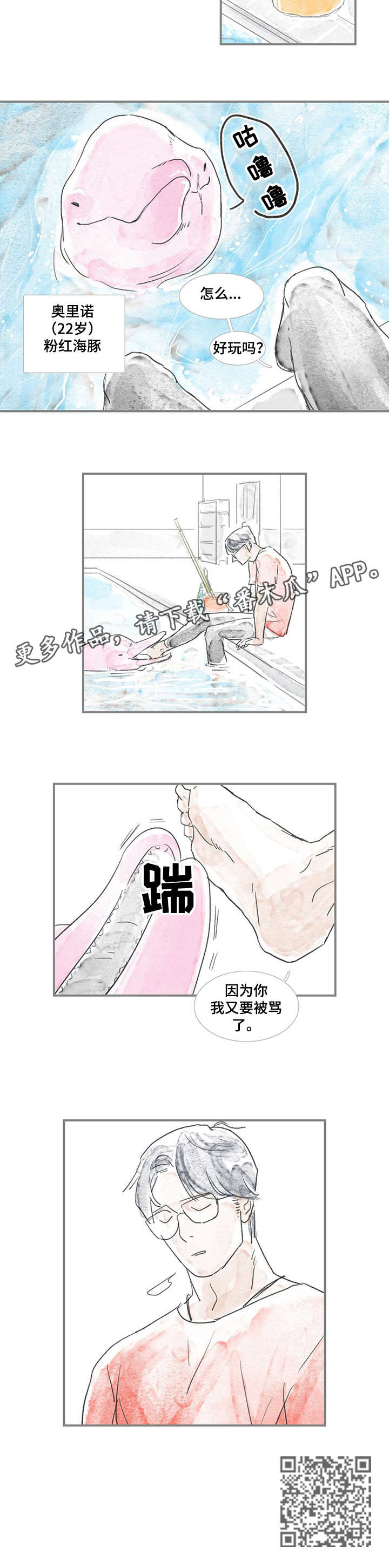 海豚的教练的昵称漫画,第6章：住所3图