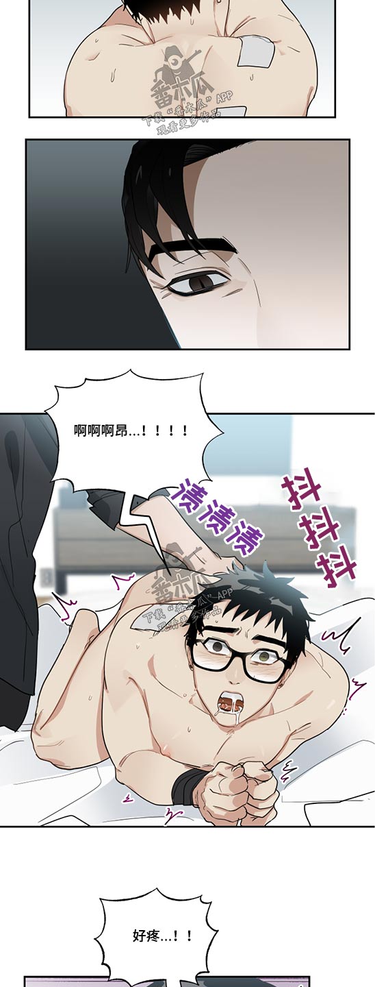 第18章：驯服4