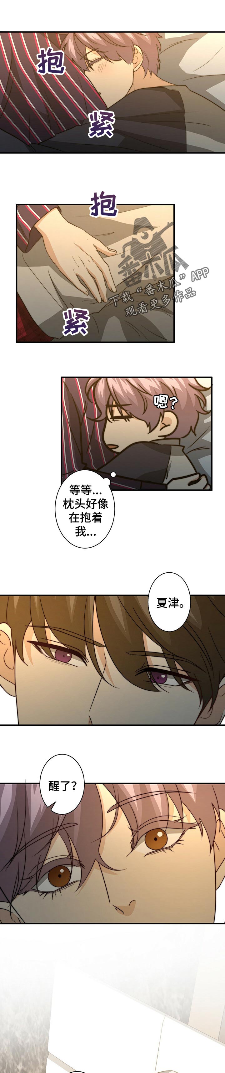 秘密配对漫画在哪里看漫画,第55章：都是陷阱1图