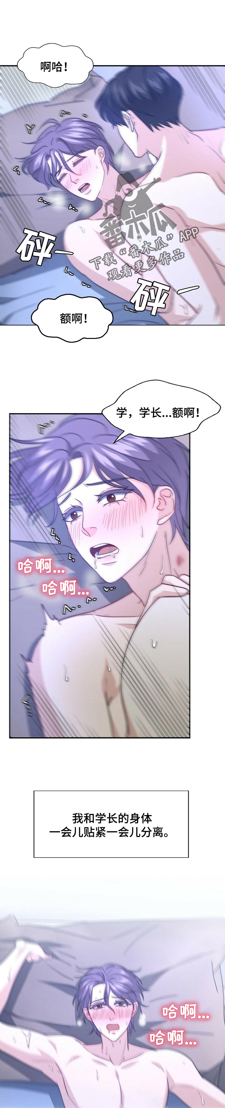 秘密配对漫画在哪里看漫画,第75章：不躲了【完结】1图