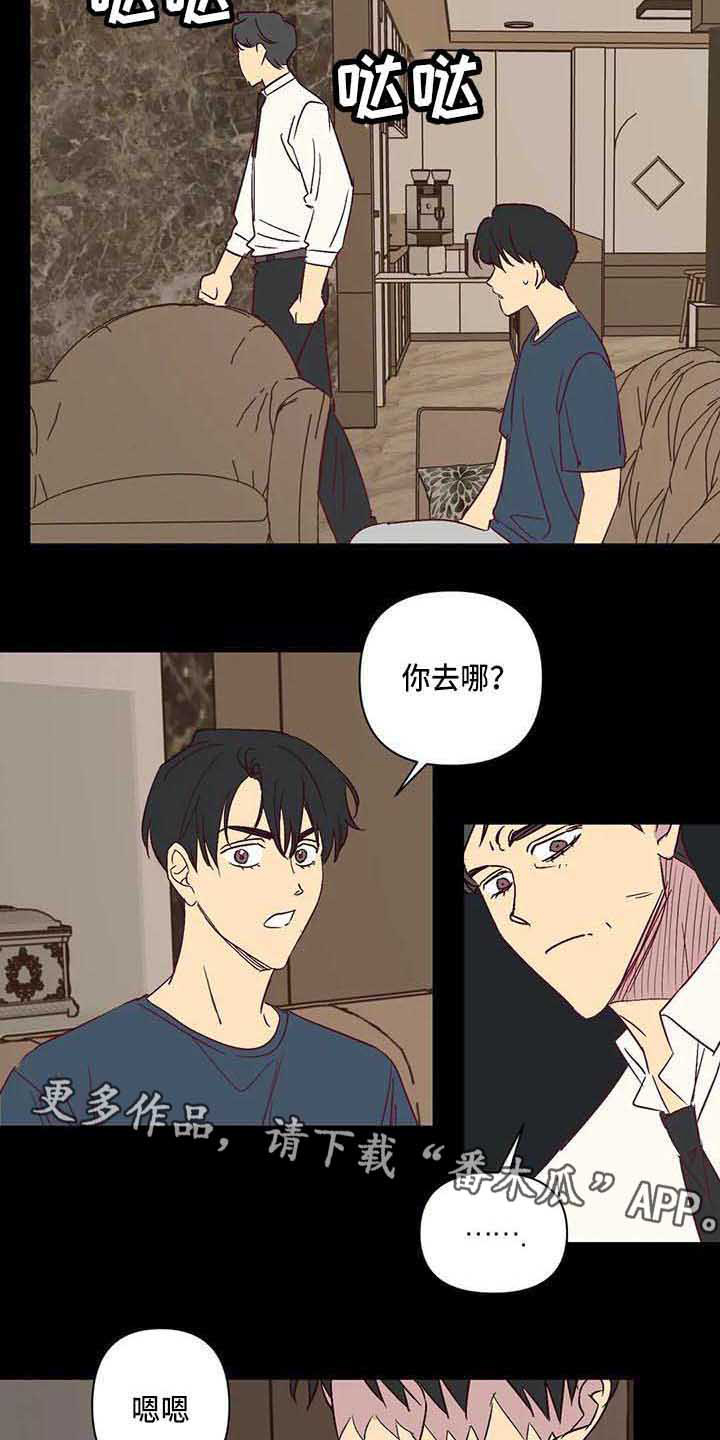 未时打喷嚏漫画,第29章：离婚3图