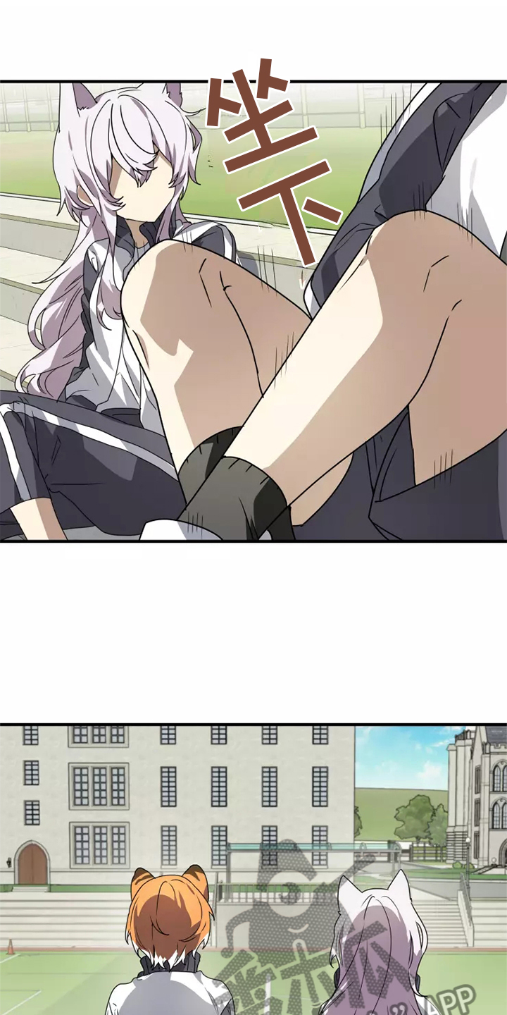 动物笑话电影网免费在线看漫画,第38章：庆典2图