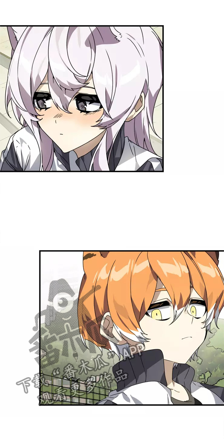 动物笑话电影网免费在线看漫画,第38章：庆典1图