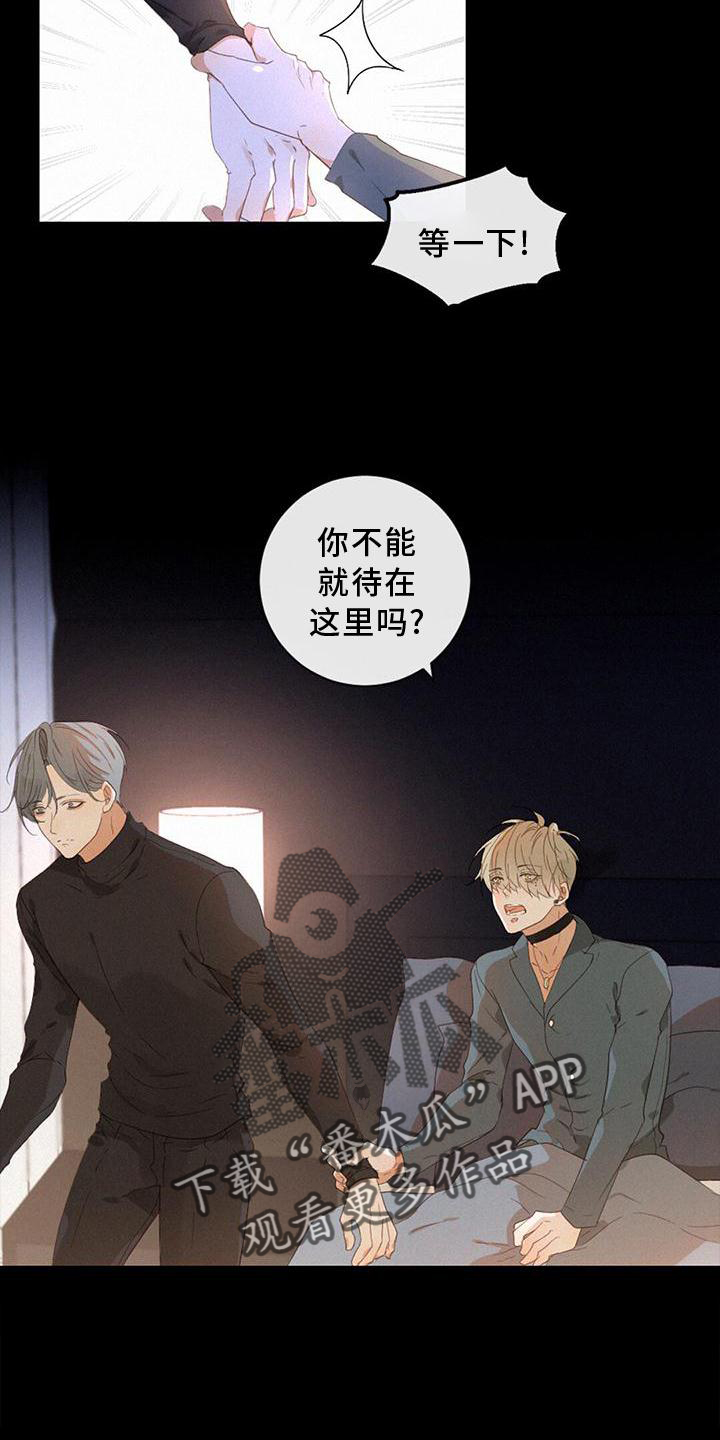 虚实生活漫画,第38章：我也一定会找到你5图