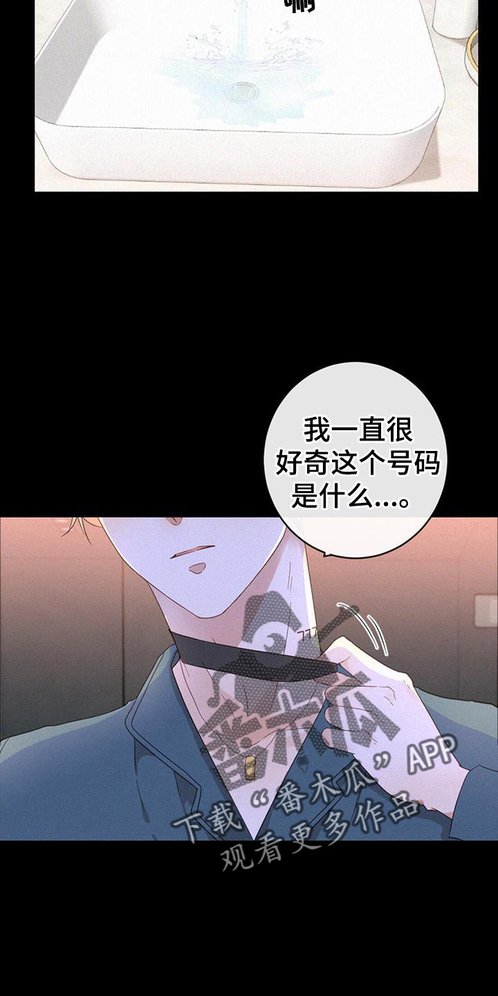 虚实交替漫画,第53章：记忆5图