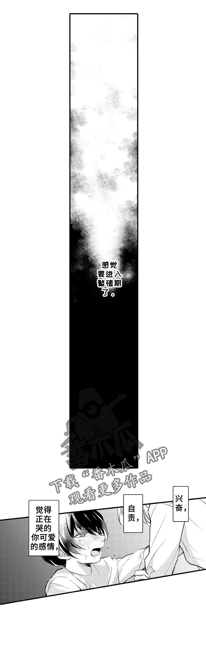 第13章：伴侣3