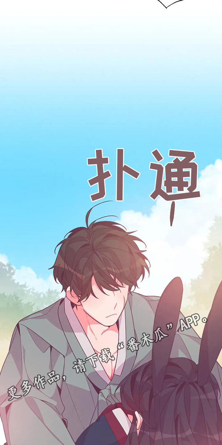 第16章：兔子的处境：爱慕（完）4
