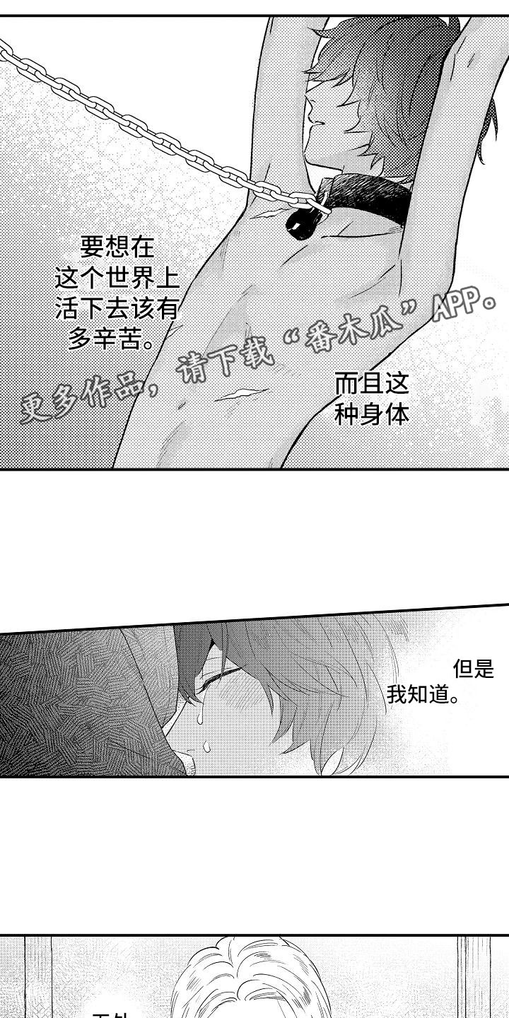 第15章：感动0