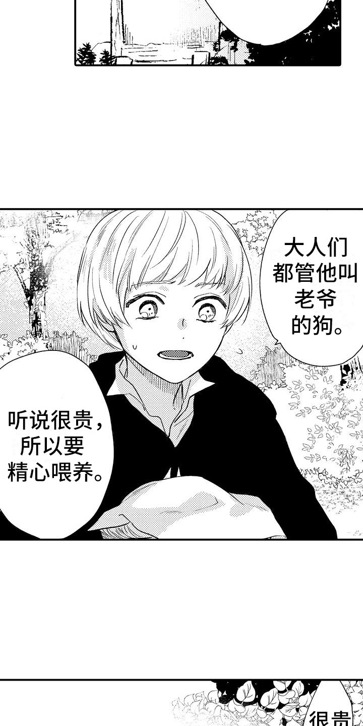 第5章：你是谁4