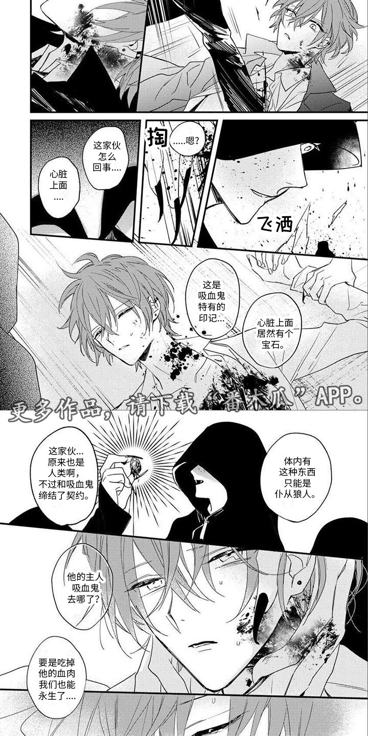 第15章：袭击3