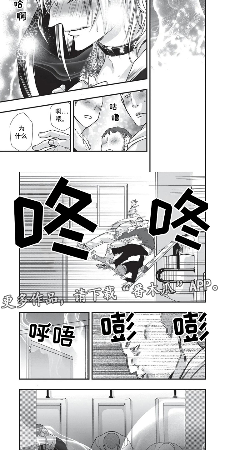 朱主爱酷狗网漫画,第19章：异国风情4图