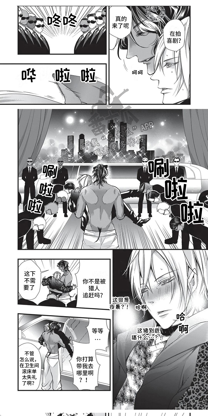 第20章：命定伴侣0