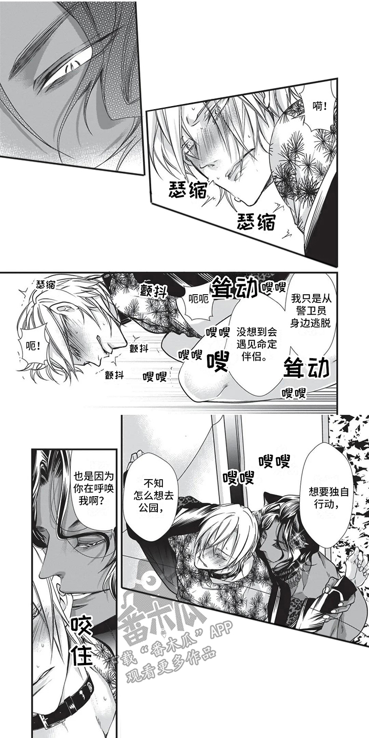 猪猪漫画,第21章：求婚1图