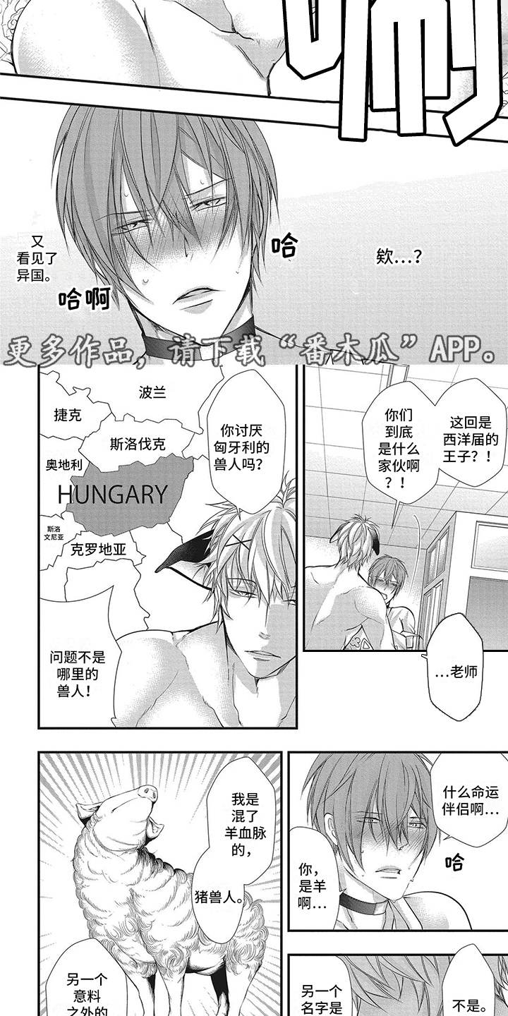 猪猪漫画,第9章：争夺5图