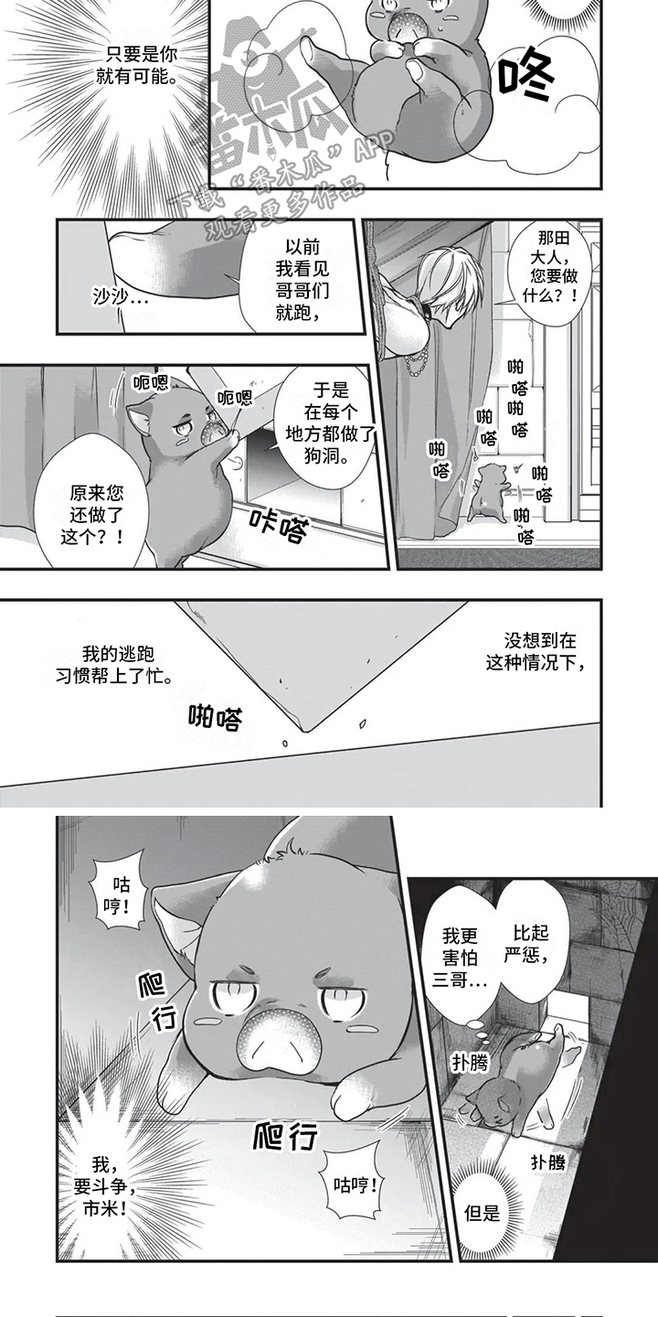 猪猪侠全集漫画,第25章：狗洞4图