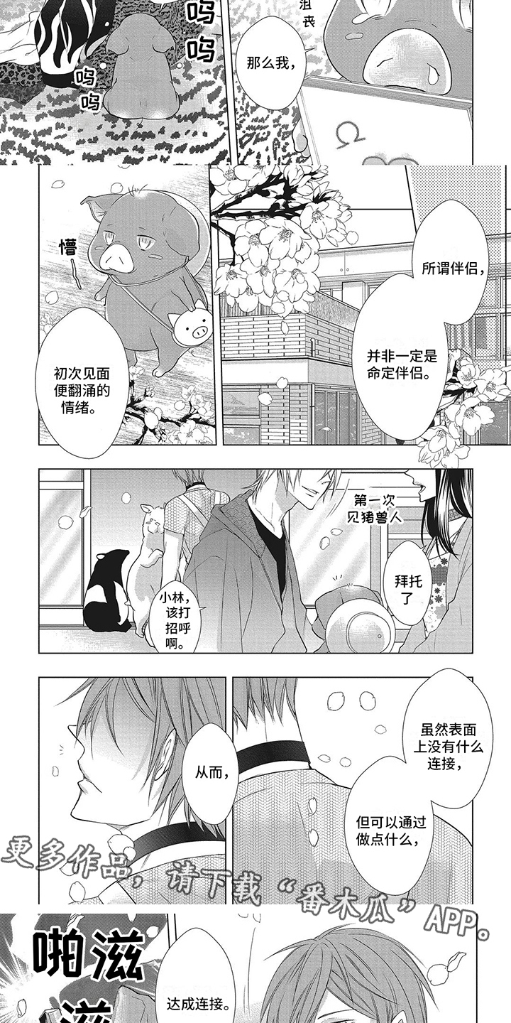 猪猪漫画,第13章：达成连接5图