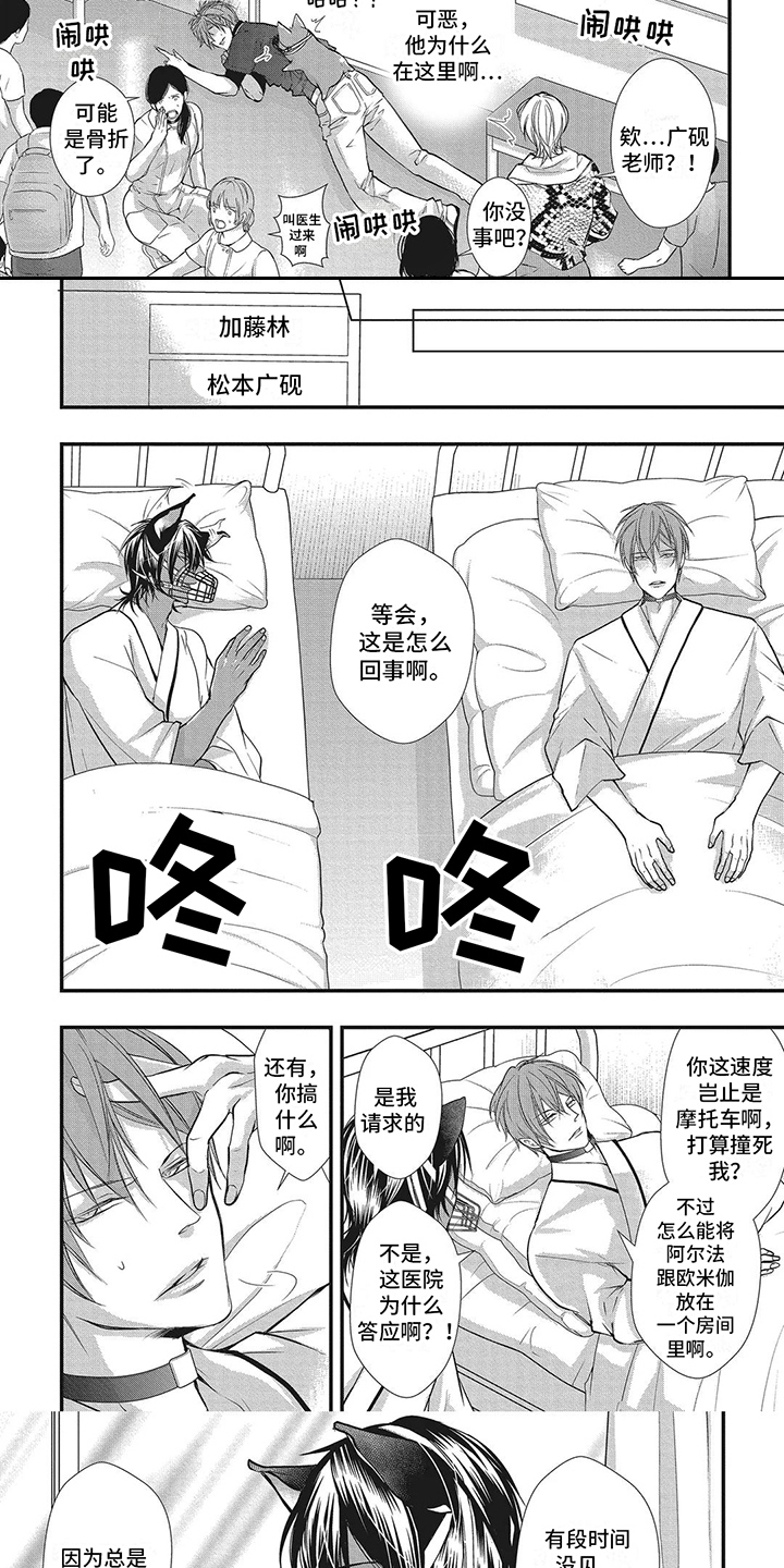 阿尔法猪虚拟商城漫画,第5章：被撞倒3图