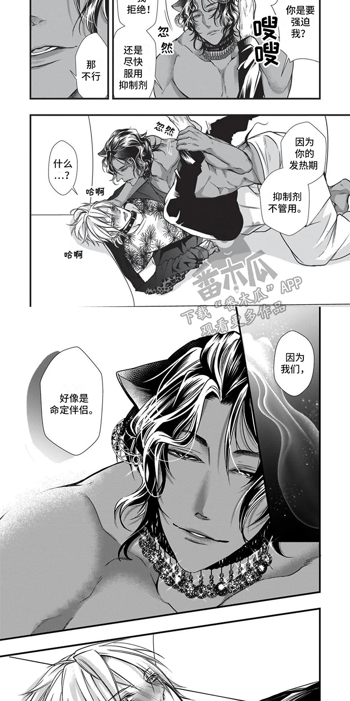 第20章：命定伴侣2