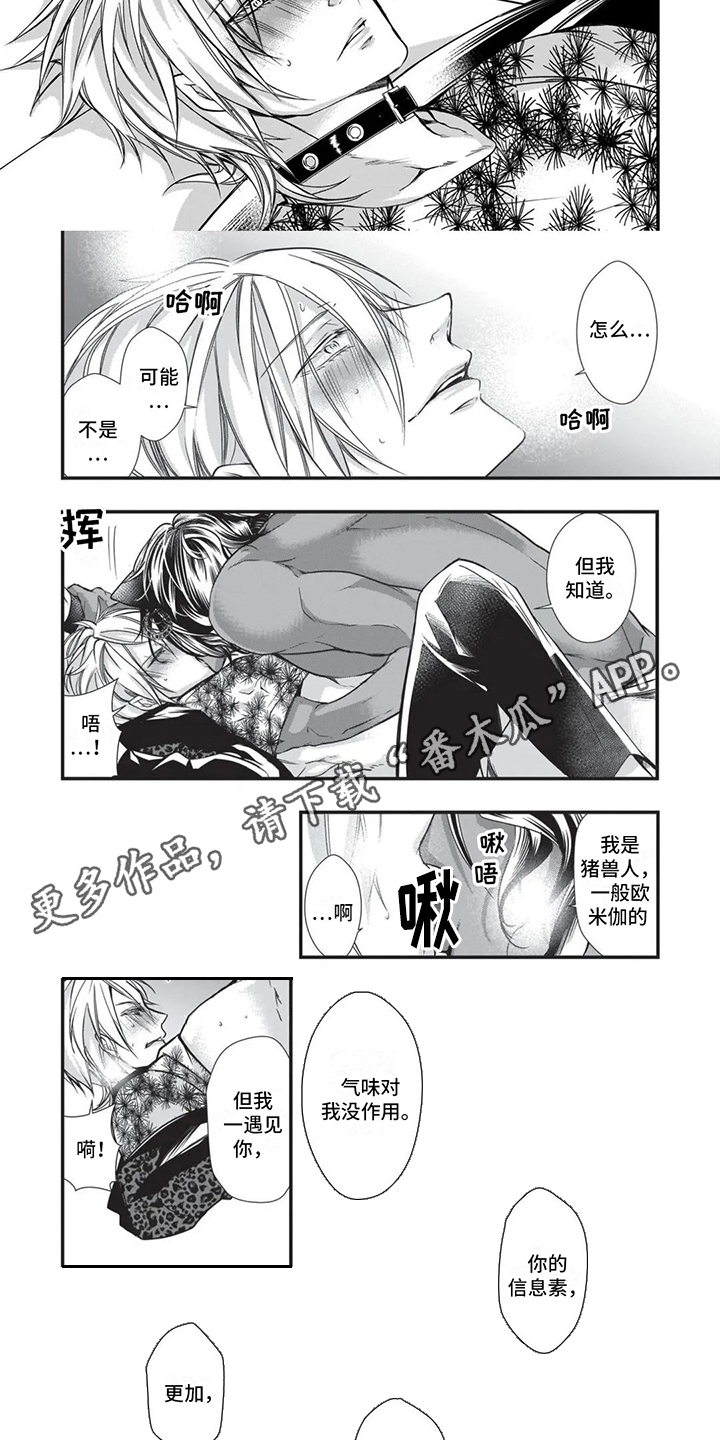 第20章：命定伴侣3