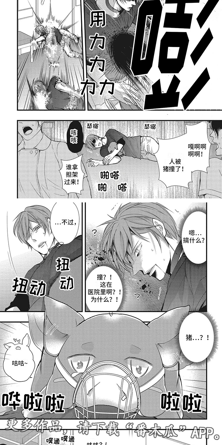 阿尔法猪虚拟商城漫画,第5章：被撞倒2图