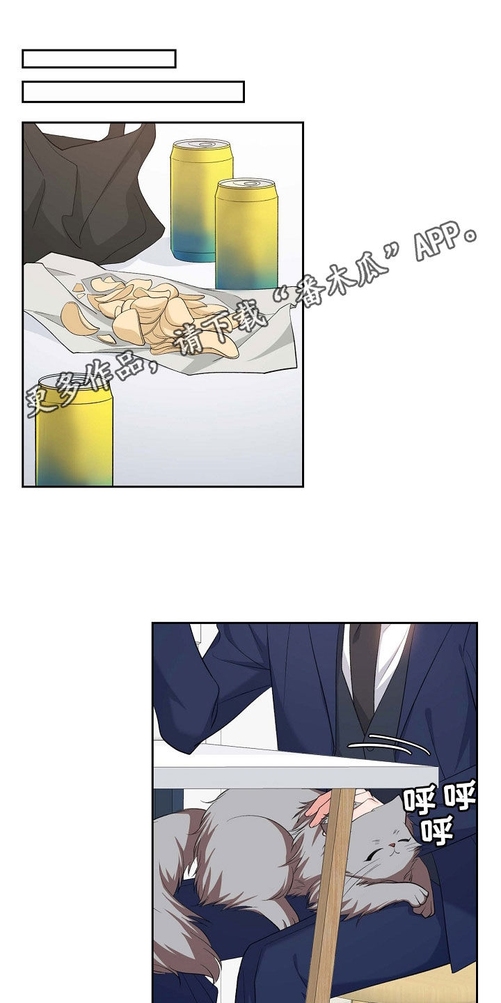 我们的歌第四季漫画,第101章：初见1图