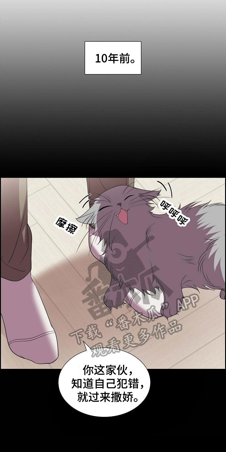 我们的心像水一样很浑浊漫画,第38章：养猫1图