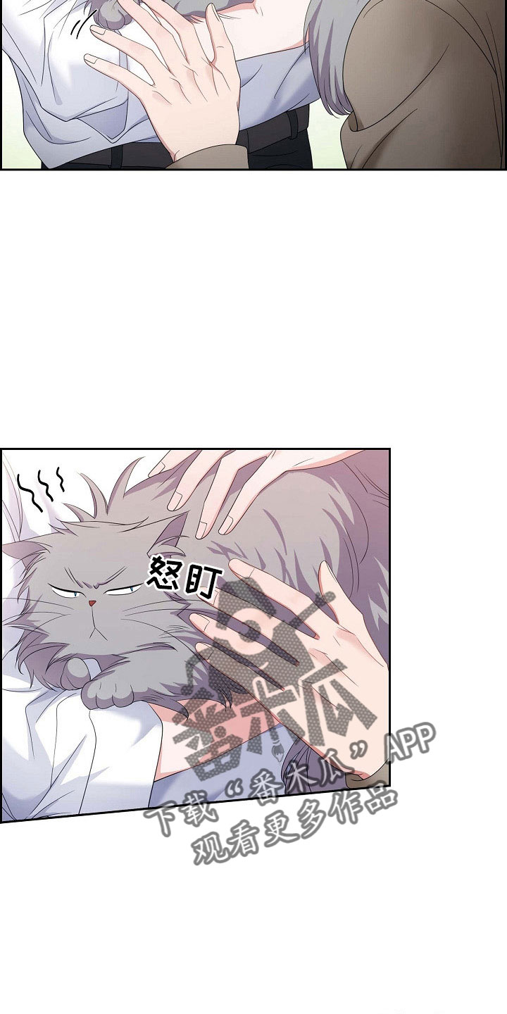 我们的日子杨大山为何判死刑漫画,第63章：他的书5图