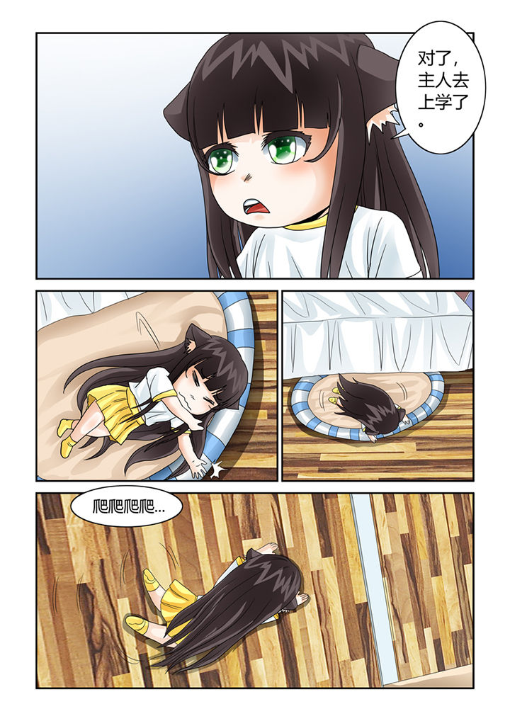 第41章：猫猫的一天1