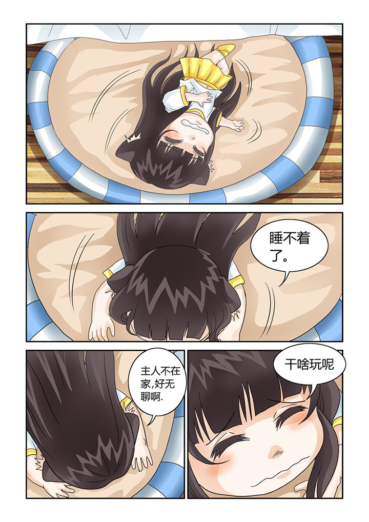 第41章：猫猫的一天4