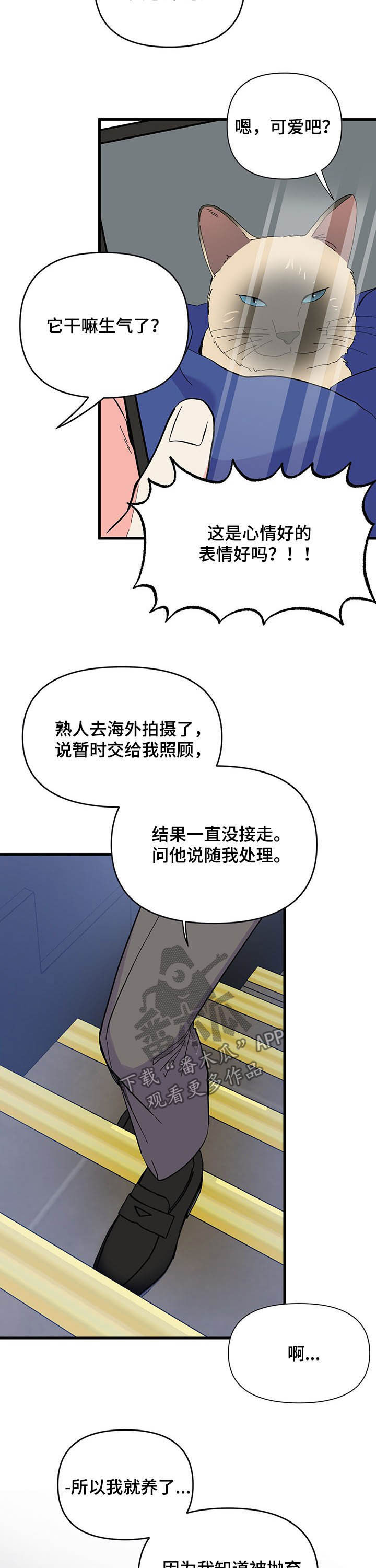 第25章：晚安3