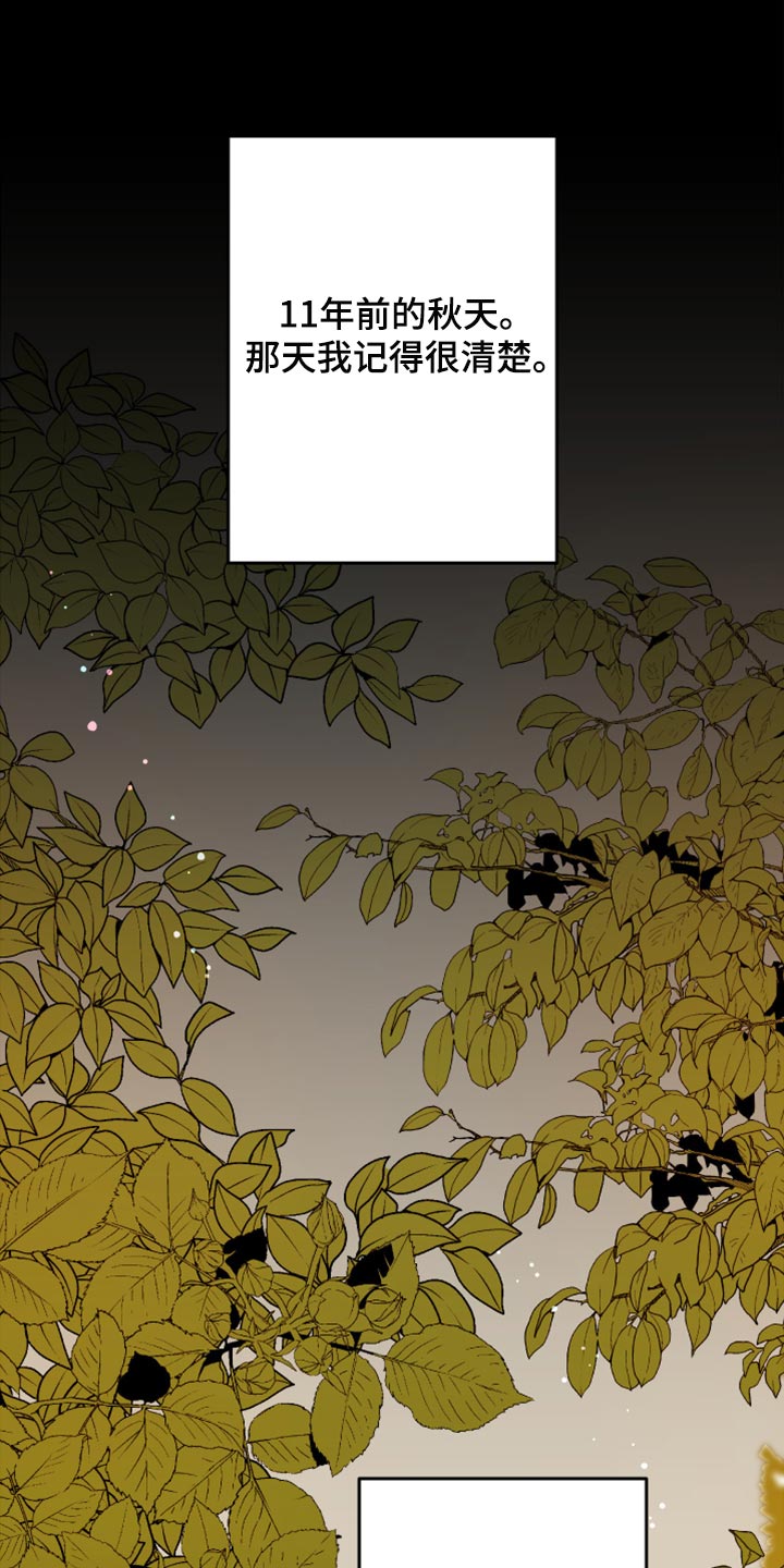第73章：【第二季】不得已的决定0