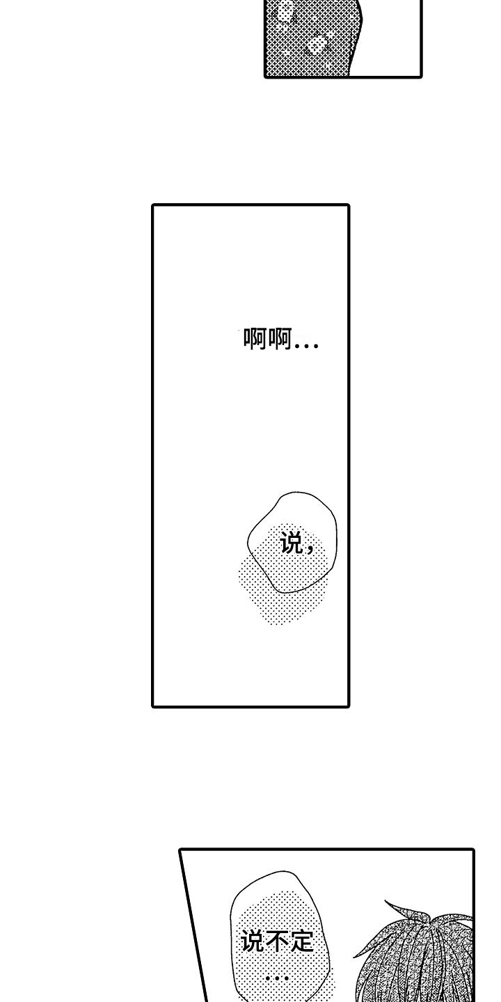 第31章：提议2