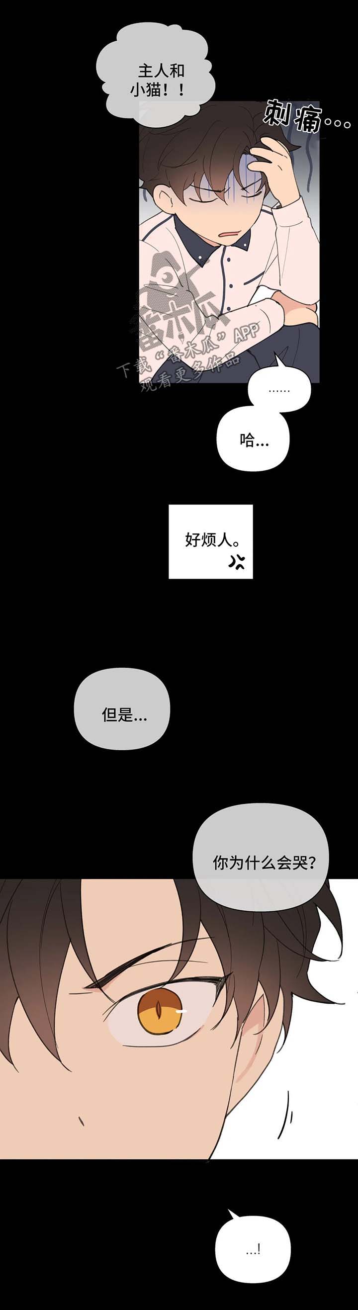学院代表拜年漫画,第78章：喜欢漂亮的3图