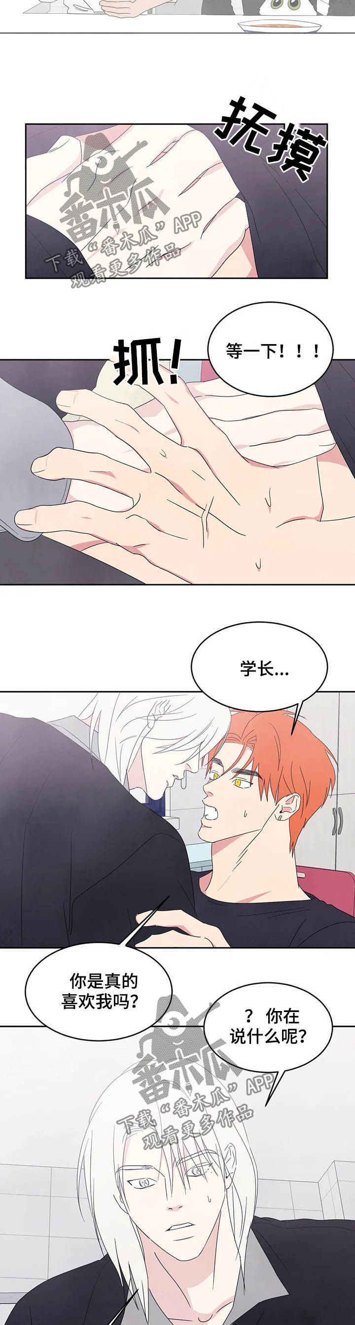 喜欢特殊符号漫画,第31章：什么关系5图