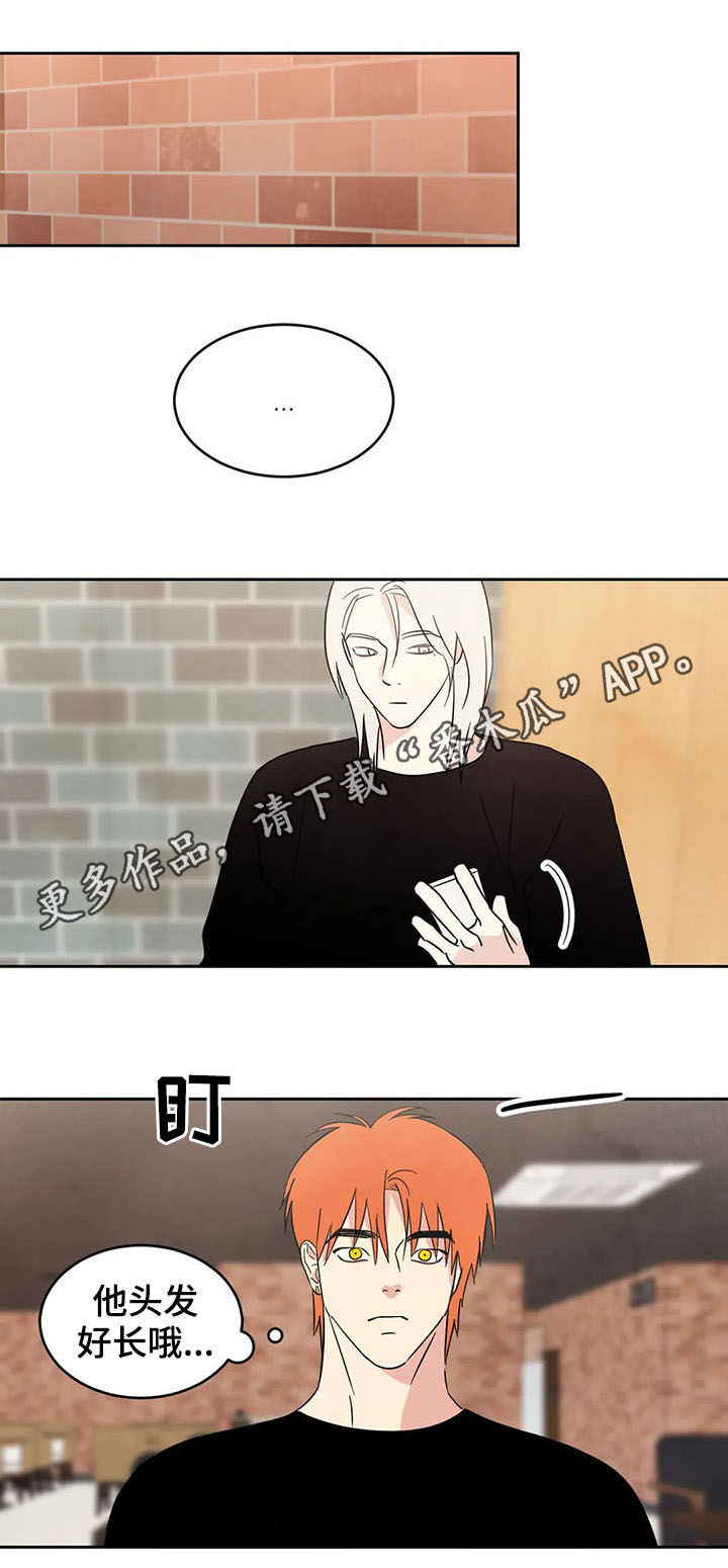 喜欢特立独行的女人漫画,第24章：什么关系1图