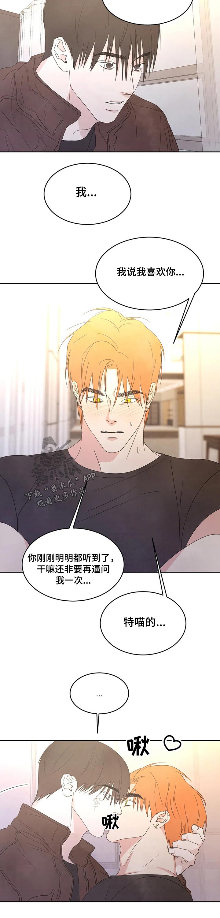 喜欢特别的他漫画,第42章：表白2图