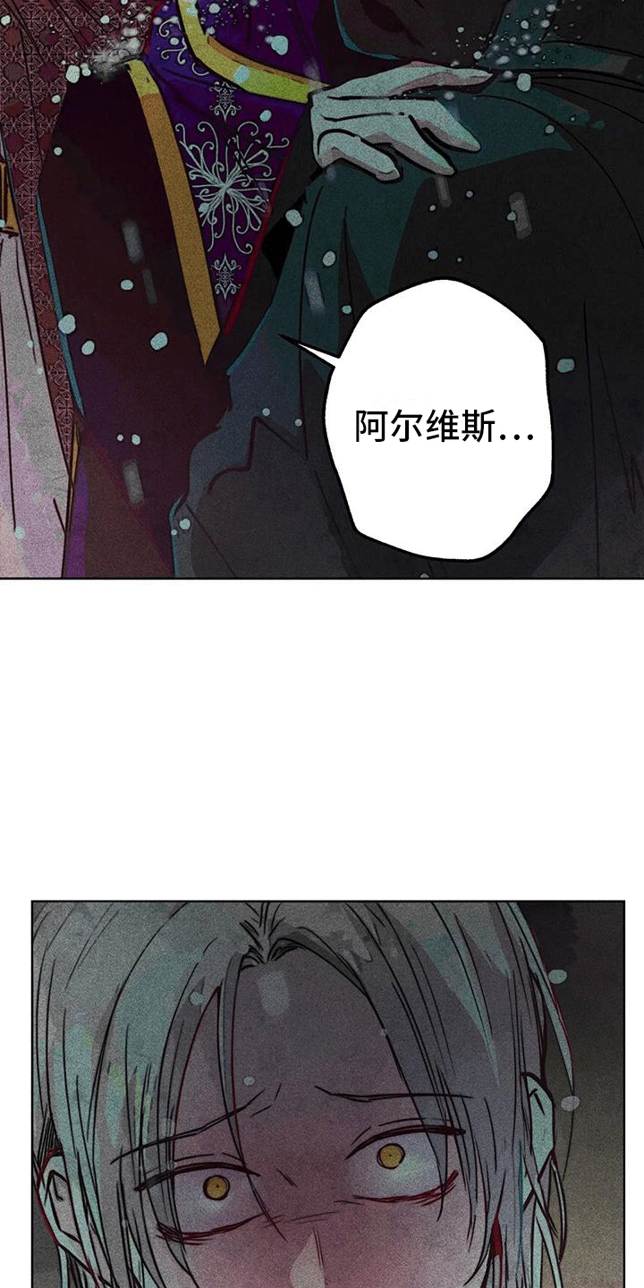 第40章：寻找2