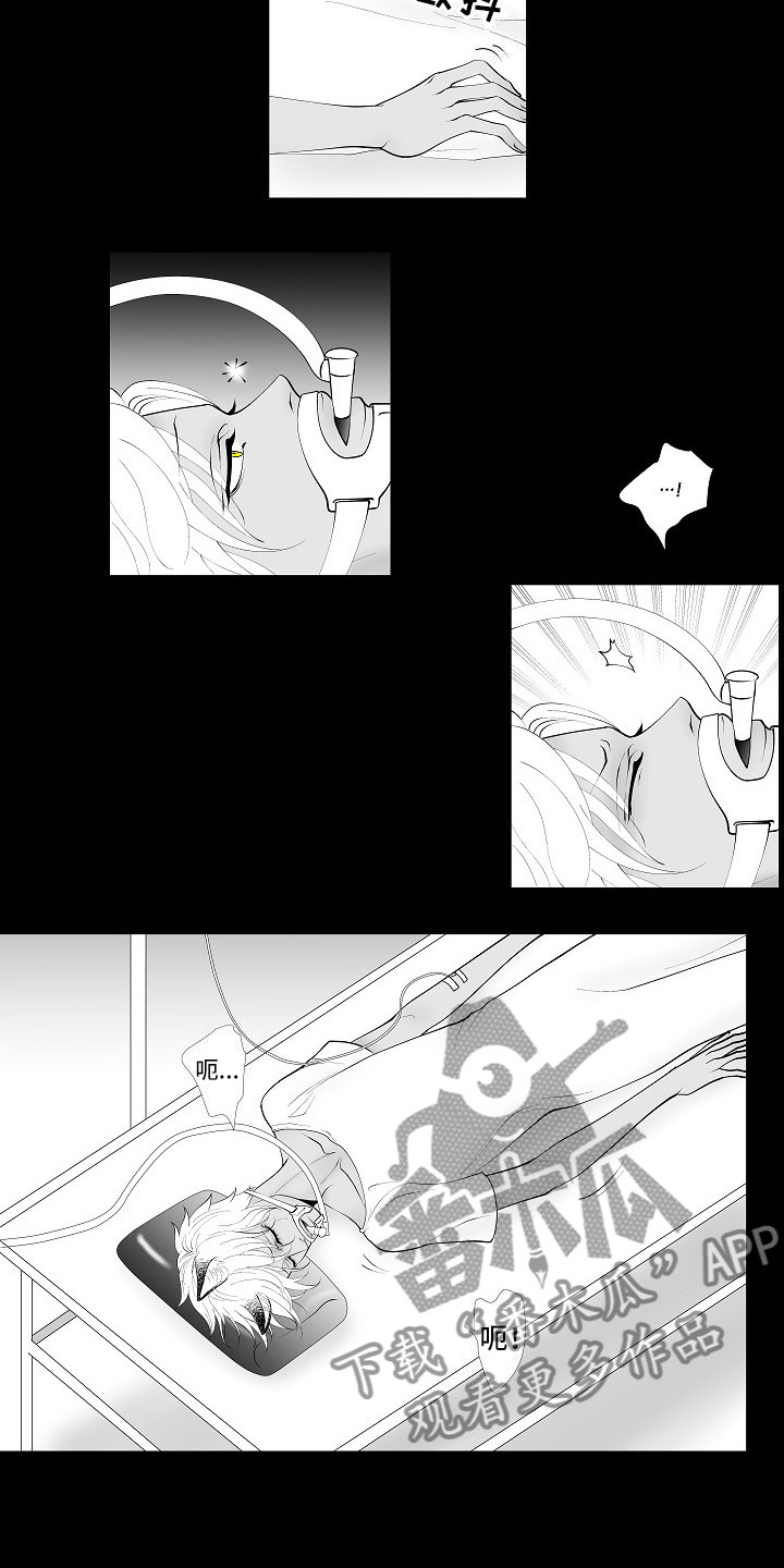 第9章：律师电话1