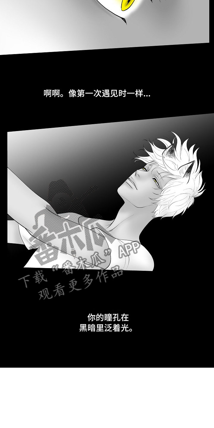 第14章：尘埃落定4