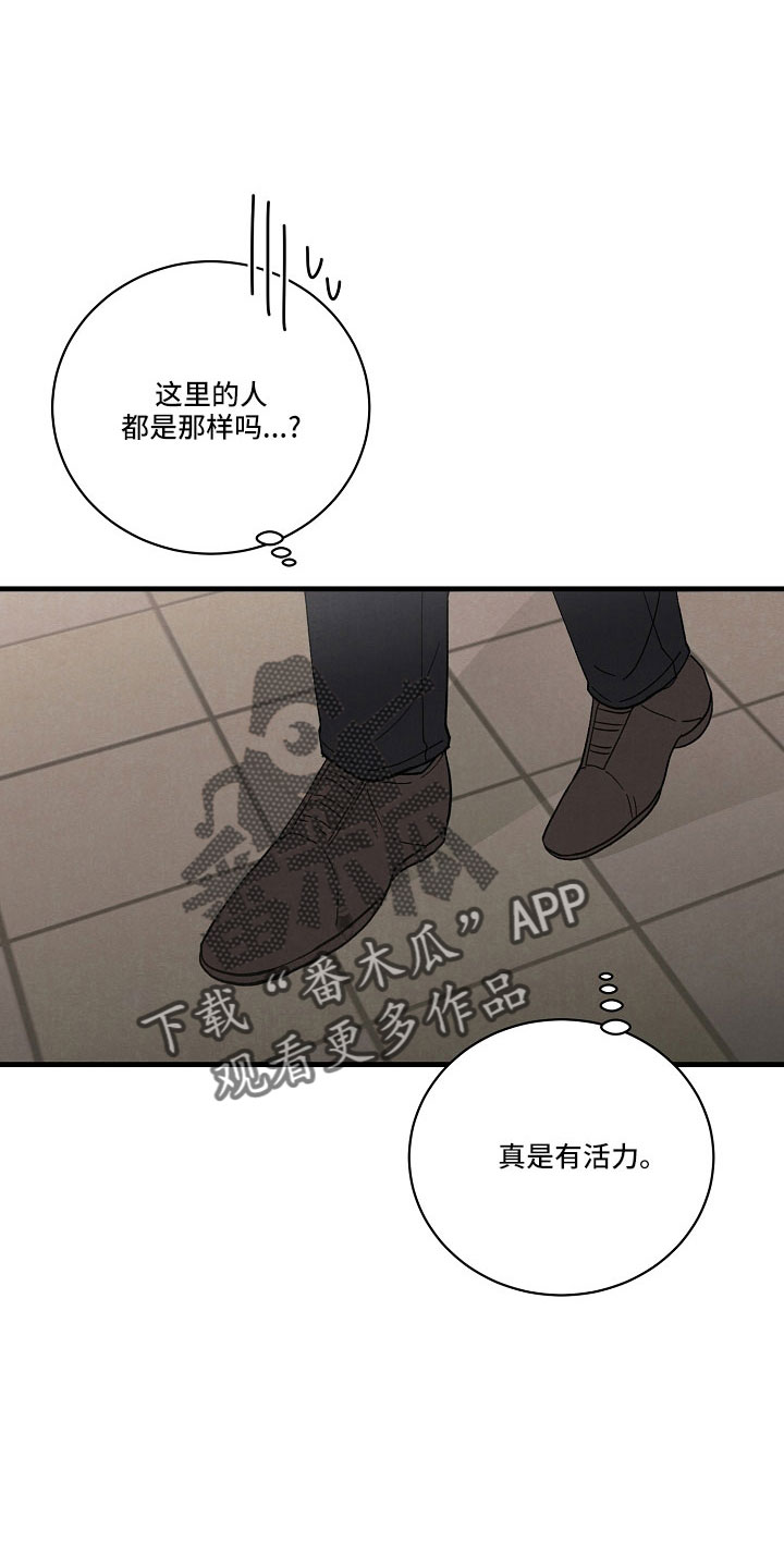 黎明前夕是什么意思漫画,第26章：笨蛋一样1图
